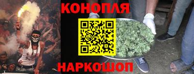 стаф Кингисепп