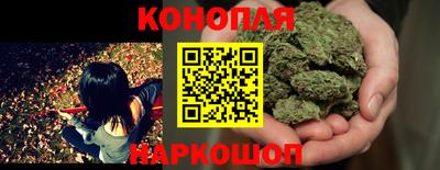 стаф Кингисепп