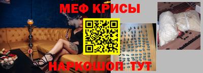 стаф Кингисепп