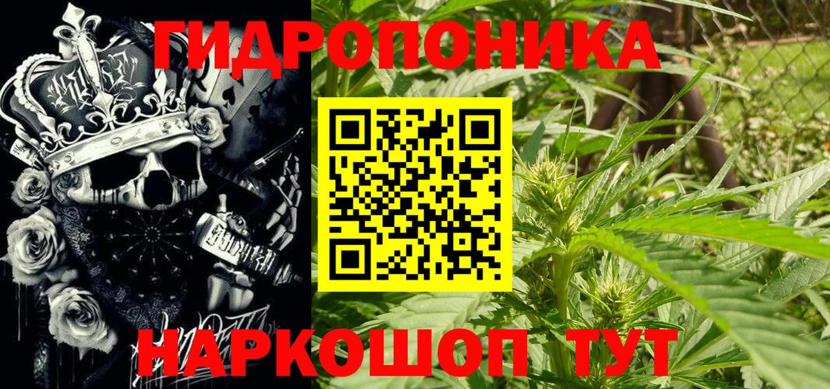 Бошки марихуана ГИДРОПОН  Вход с VPN  Марихуана MAZAR  Кинешма  Бошки Шишки AK-47 